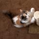 Как сделать когтеточку своими руками: радуем кошку новым подарком Изготовление когтеточки для кошек своими руками