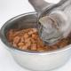 Правильное питание для кошек в домашних условиях